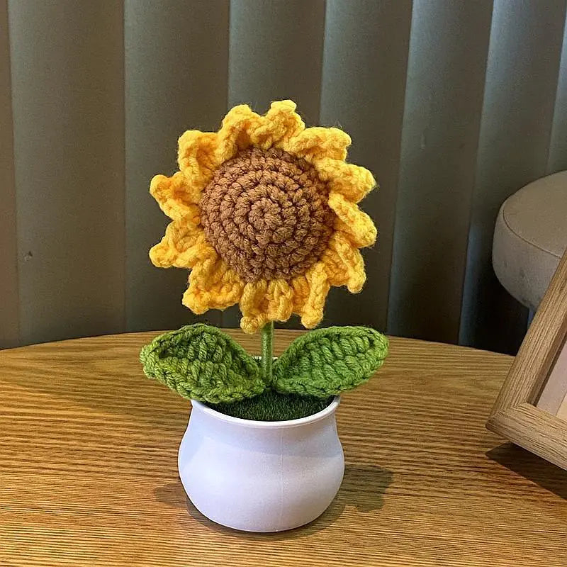 Mini Handwoven Potted Plant Decoration