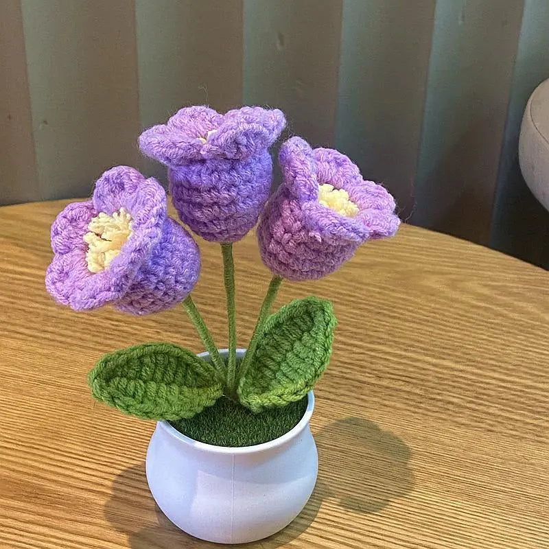 Mini Handwoven Potted Plant Decoration