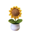 Mini Handwoven Potted Plant Decoration