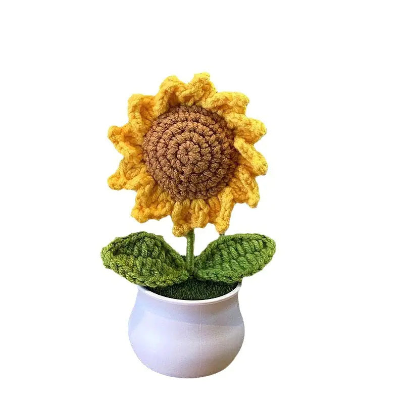 Mini Handwoven Potted Plant Decoration