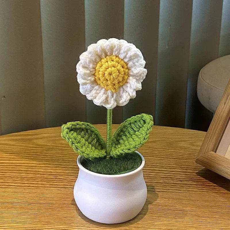 Mini Handwoven Potted Plant Decoration