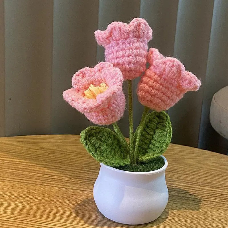 Mini Handwoven Potted Plant Decoration