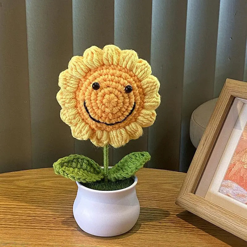 Mini Handwoven Potted Plant Decoration