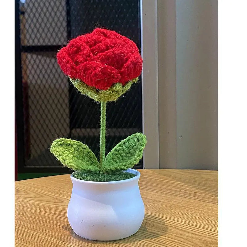 Mini Handwoven Potted Plant Decoration