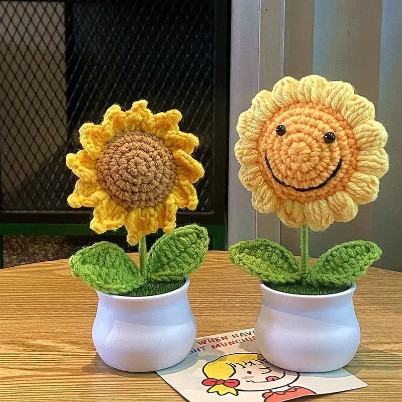 Mini Handwoven Potted Plant Decoration