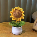 Mini Handwoven Potted Plant Decoration