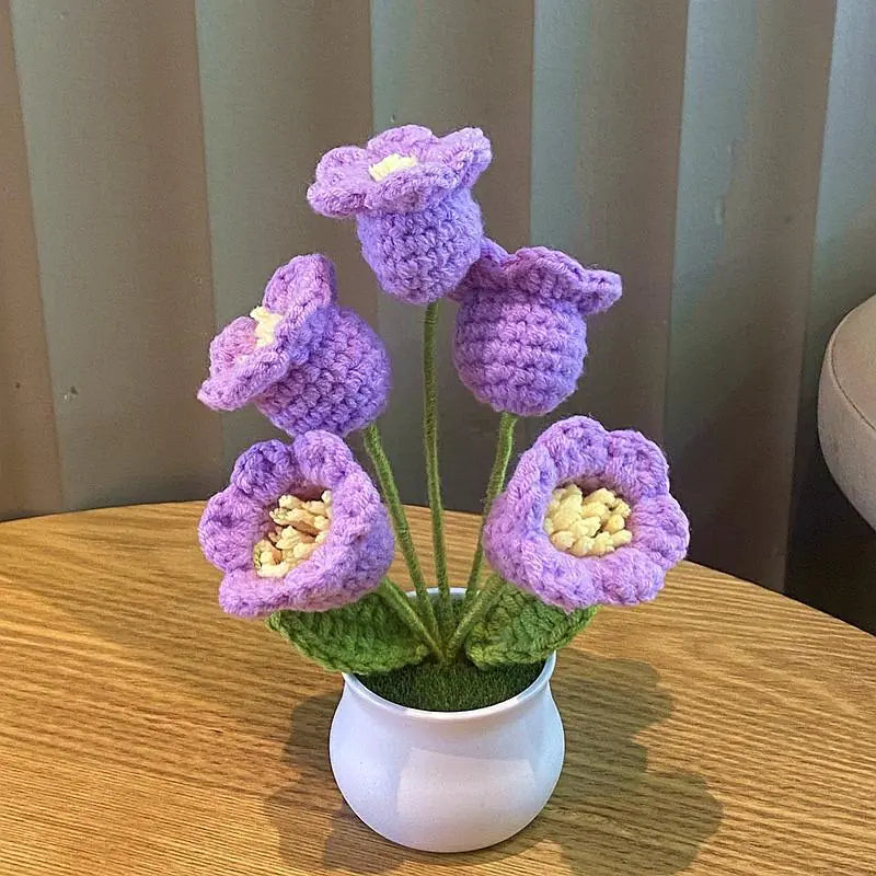 Mini Handwoven Potted Plant Decoration