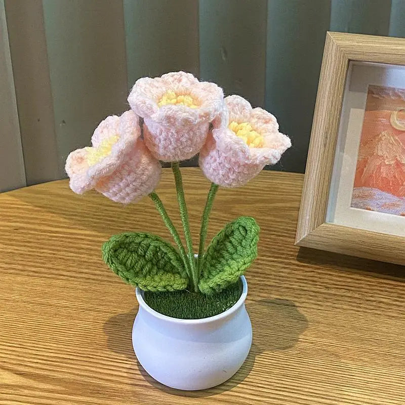 Mini Handwoven Potted Plant Decoration