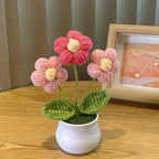 Mini Handwoven Potted Plant Decoration