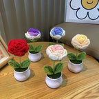 Mini Handwoven Potted Plant Decoration