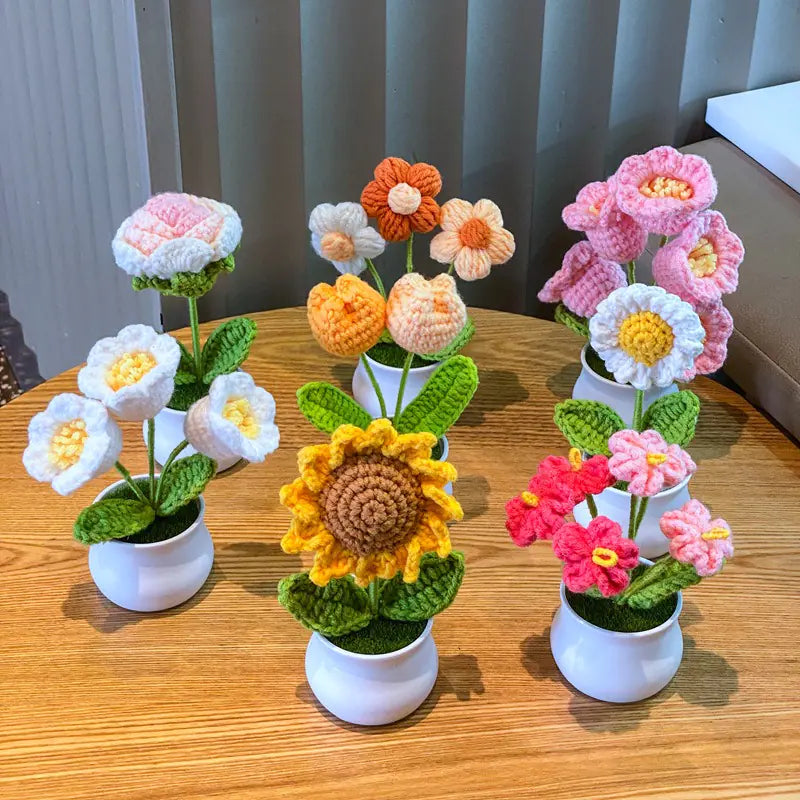 Mini Handwoven Potted Plant Decoration