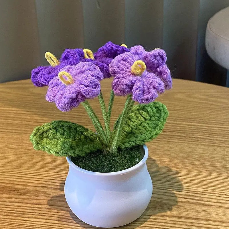 Mini Handwoven Potted Plant Decoration