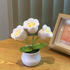 Mini Handwoven Potted Plant Decoration