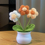 Mini Handwoven Potted Plant Decoration