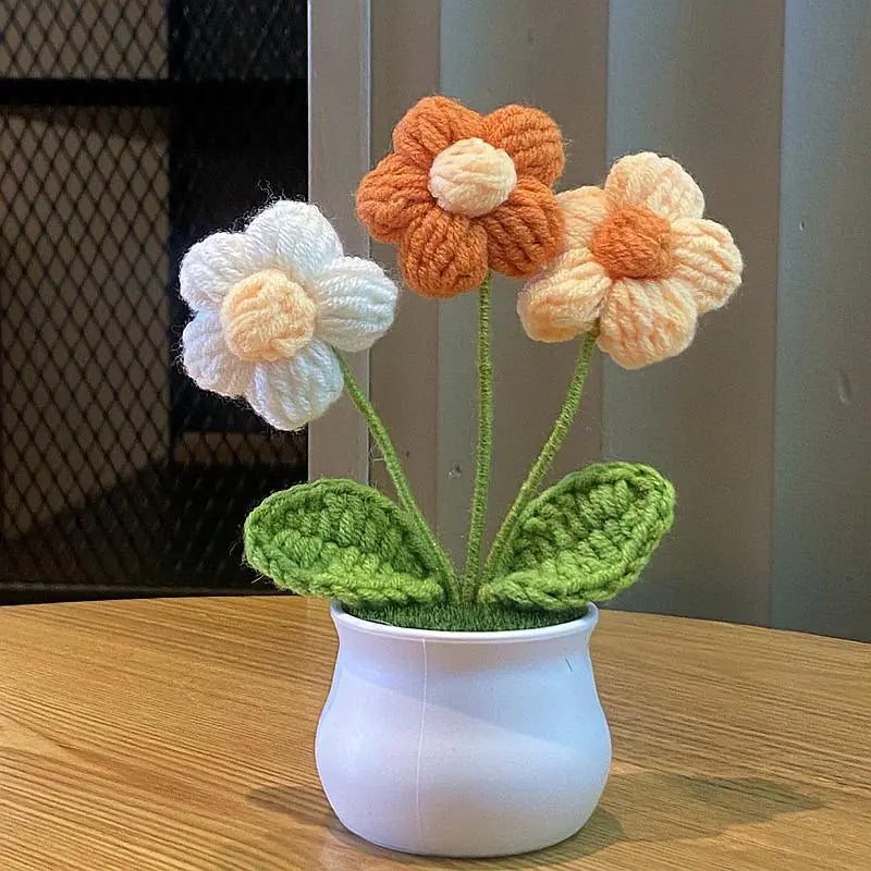 Mini Handwoven Potted Plant Decoration