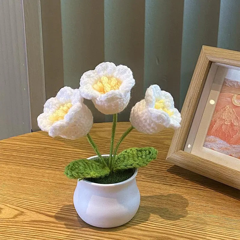 Mini Handwoven Potted Plant Decoration